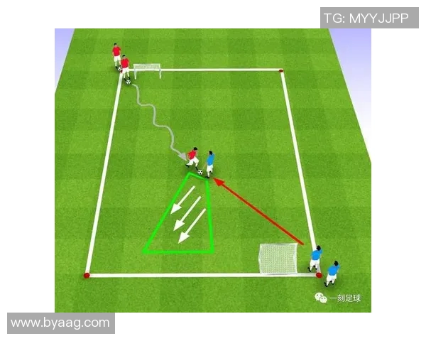 从零基础到篮球耐力高手的全面训练指南与实用技巧分享